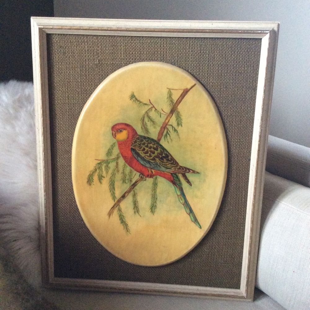 Vintage Parrot Painted on Resin Framed on Burlap